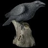 Große Schwarze Raben Figur - Ravens Cry