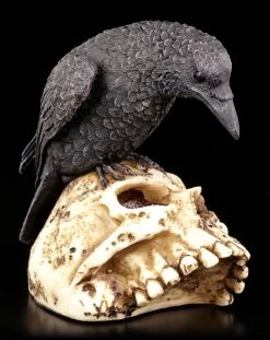 Raben Figur Auf Totenschädel 8 Raben Figur Auf Totenschädel -Modell Und Figurengeschäft Rabe Totenkopf 2 1280x1280