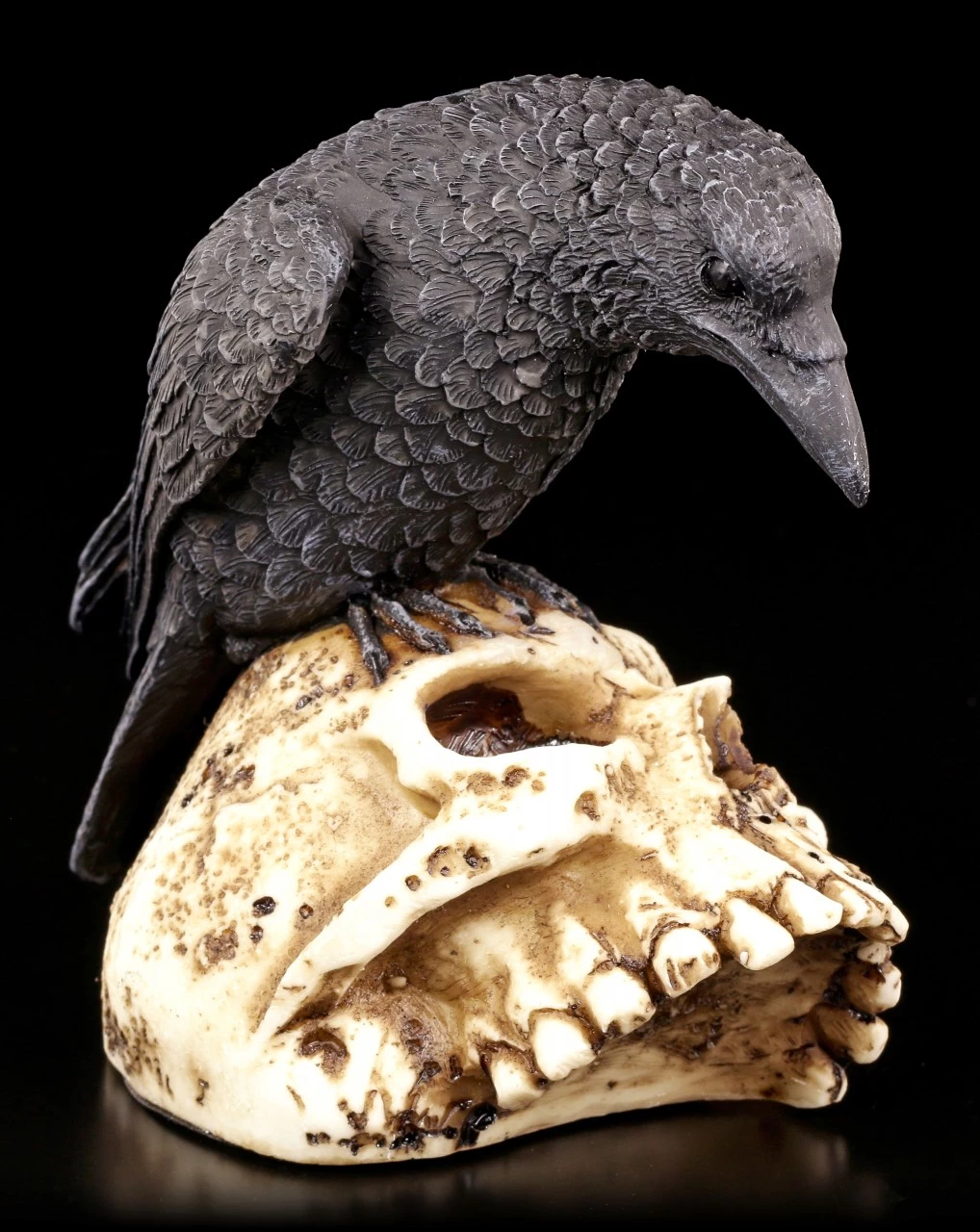 Raben Figur Auf Totenschädel 3 Raben Figur Auf Totenschädel – Bild 3