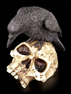 Raben Figur Auf Totenschädel 11 Raben Figur Auf Totenschädel -Modell Und Figurengeschäft Rabe Totenkopf 5 1280x1280