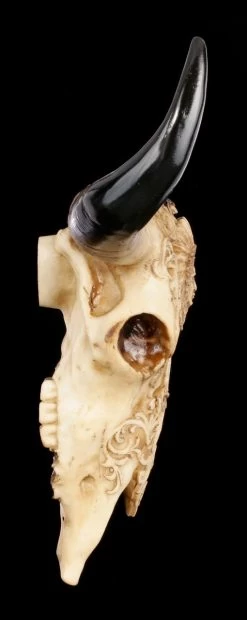 Rinder Schädel Mit Indianerkopf - Old Spirit -Modell Und Figurengeschäft Rinder Bullen Schaedel Mit Indianerkopf Old Spirit 2 1280x1280