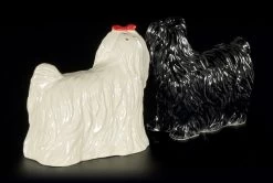 Salz Und Pfeffer Streuer - Malteser Hunde -Modell Und Figurengeschäft Salz Pfeffer Hund Malteser 2 1280x1280