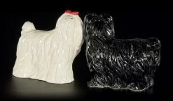 Salz Und Pfeffer Streuer - Malteser Hunde -Modell Und Figurengeschäft Salz Pfeffer Hund Malteser 3 1280x1280