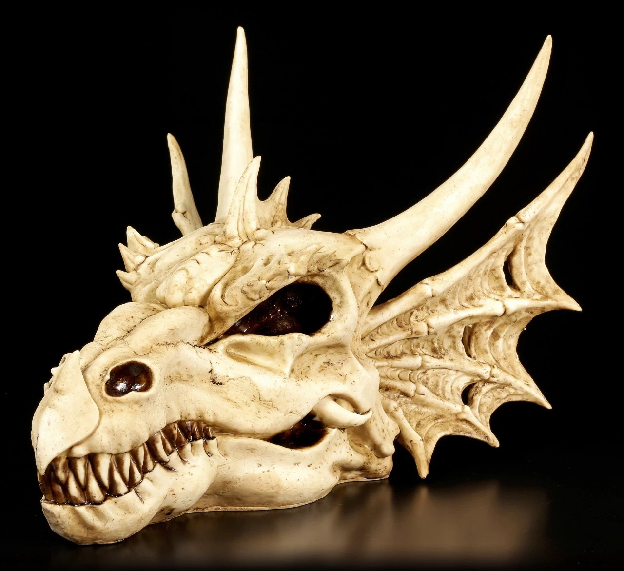 Wandrelief - Schädel Des Letzten Drachen 3 Wandrelief - Schädel Des Letzten Drachen – Bild 3