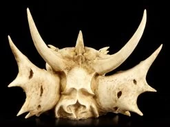 Wandrelief - Schädel Des Letzten Drachen 10 Wandrelief - Schädel Des Letzten Drachen -Modell Und Figurengeschäft Schaedel Drachen 357ce52bcaa05a 1280x1280