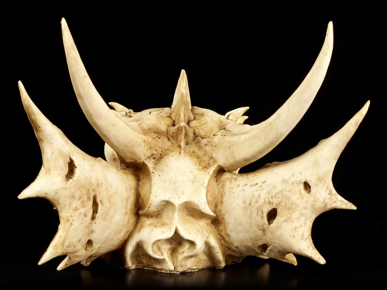 Wandrelief - Schädel Des Letzten Drachen 4 Wandrelief - Schädel Des Letzten Drachen – Bild 4