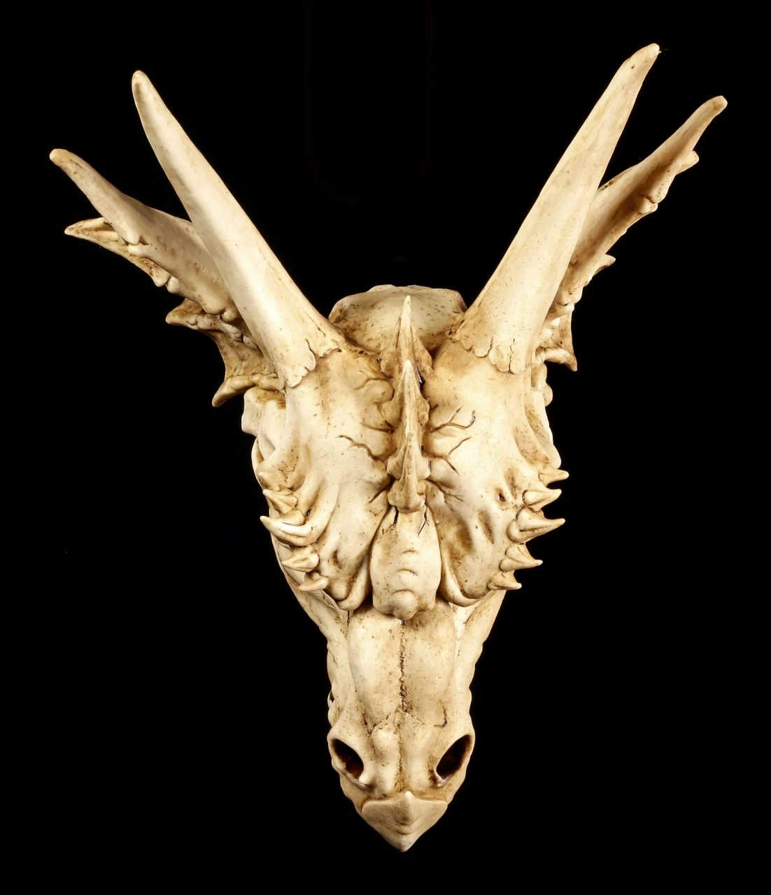 Wandrelief - Schädel Des Letzten Drachen 6 Wandrelief - Schädel Des Letzten Drachen – Bild 6