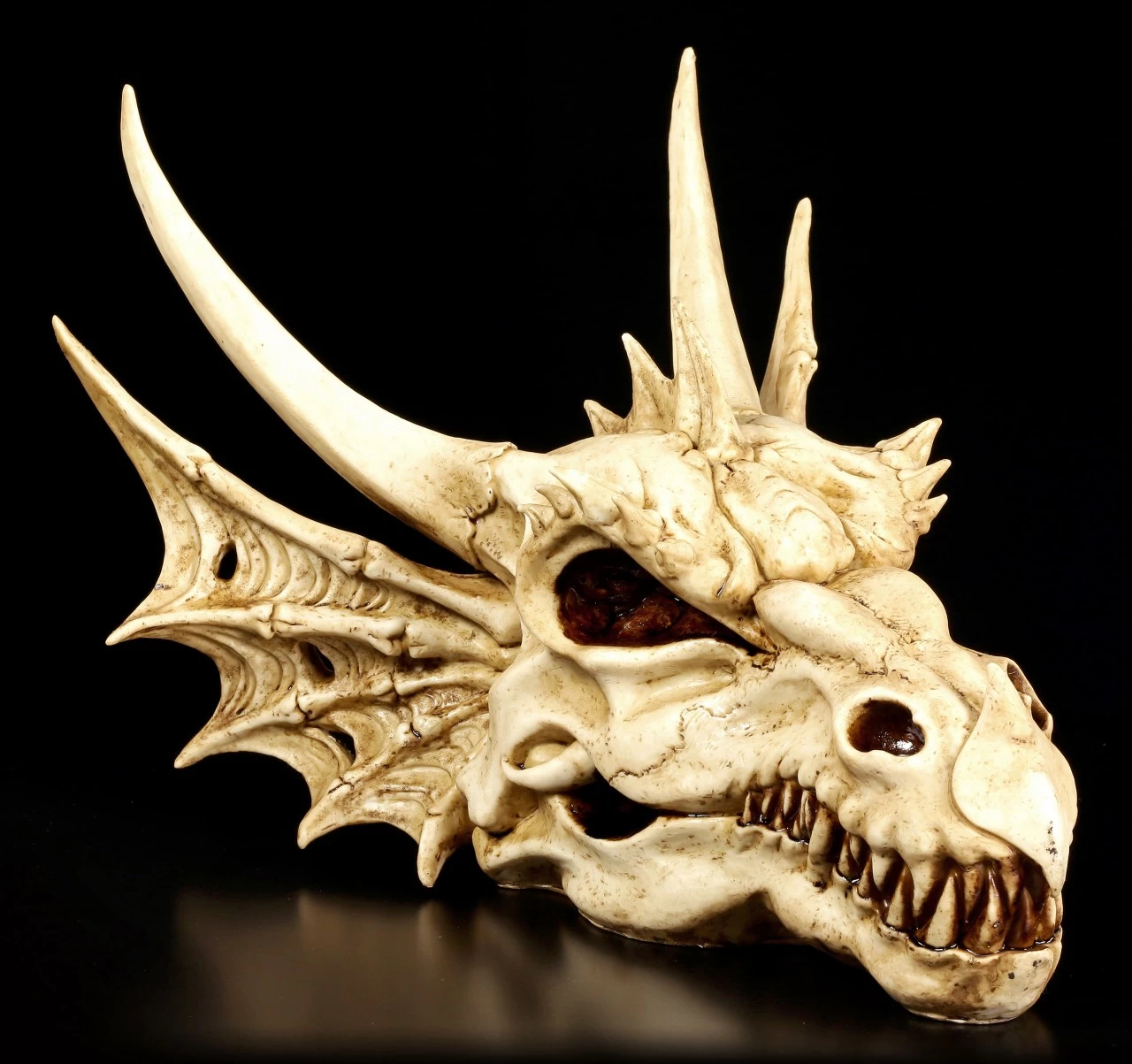 Wandrelief - Schädel Des Letzten Drachen 1 Wandrelief - Schädel Des Letzten Drachen