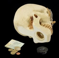 Spardose - Totenkopf Mit Maus -Modell Und Figurengeschäft Spardose Totenkopf Maus 10 1280x1280