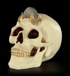 Spardose - Totenkopf Mit Maus -Modell Und Figurengeschäft Spardose Totenkopf Maus 2 1280x1280