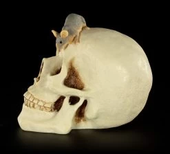 Spardose - Totenkopf Mit Maus -Modell Und Figurengeschäft Spardose Totenkopf Maus 3 1280x1280