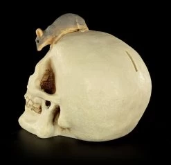 Spardose - Totenkopf Mit Maus -Modell Und Figurengeschäft Spardose Totenkopf Maus 4 1280x1280