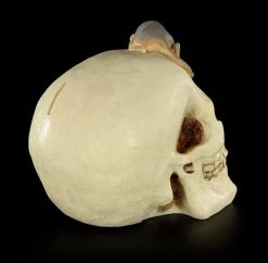 Spardose - Totenkopf Mit Maus -Modell Und Figurengeschäft Spardose Totenkopf Maus 6 1280x1280