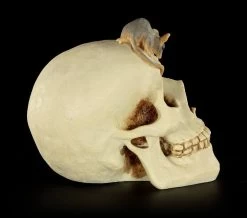 Spardose - Totenkopf Mit Maus -Modell Und Figurengeschäft Spardose Totenkopf Maus 7 1280x1280