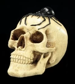 Spardose - Totenkopf Mit Spinne -Modell Und Figurengeschäft Spardose Totenkopf Spinne 2 1280x1280