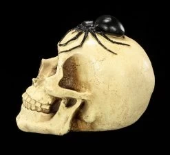 Spardose - Totenkopf Mit Spinne -Modell Und Figurengeschäft Spardose Totenkopf Spinne 3 1280x1280