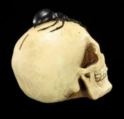 Spardose - Totenkopf Mit Spinne -Modell Und Figurengeschäft Spardose Totenkopf Spinne 6 1280x1280