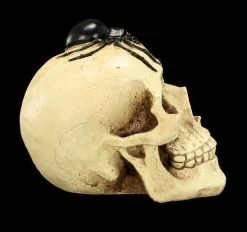 Spardose - Totenkopf Mit Spinne -Modell Und Figurengeschäft Spardose Totenkopf Spinne 7 1280x1280
