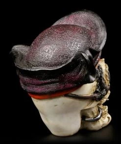 Totenkopf Mit Piratenmütze -Modell Und Figurengeschäft Totenkopf Augenklappe Piratenmuetze 4 1280x1280