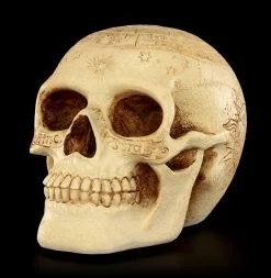 Totenkopf - Crane Astrologie -Modell Und Figurengeschäft Totenkopf Crave Astrologie 2 1280x1280