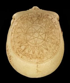Totenkopf - Crane Astrologie -Modell Und Figurengeschäft Totenkopf Crave Astrologie 9 1280x1280