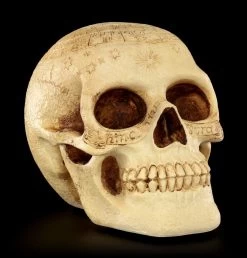 Totenkopf - Crane Astrologie