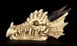 Totenkopf - Drachenschädel Mit Hörnern -Modell Und Figurengeschäft Totenkopf Drachenschaedel Hoerner 2 1280x1280