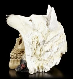 Totenkopf Mit Wolfsmütze - Night Wolf -Modell Und Figurengeschäft Totenkopf Night Wolf 2 1280x1280