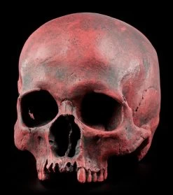 Totenkopf Replikat Frau - Sagus - Karmin Rot Limitiert -Modell Und Figurengeschäft Totenkopf Replikat Rot 2576b9b1767dd3 1280x1280