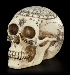 Totenkopf Astrologie - Tierkreiszeichen -Modell Und Figurengeschäft Totenkopf Tierkreiszeichen 2 1280x1280