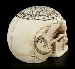 Totenkopf Astrologie - Tierkreiszeichen -Modell Und Figurengeschäft Totenkopf Tierkreiszeichen 6 1280x1280