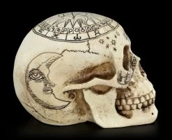 Totenkopf Astrologie - Tierkreiszeichen -Modell Und Figurengeschäft Totenkopf Tierkreiszeichen 7 1280x1280