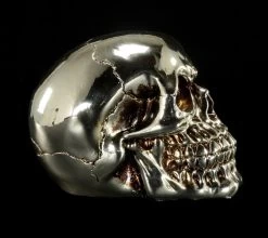 Totenkopf - Silberfarben Glänzend -Modell Und Figurengeschäft Totenkopf menschlich silber 7 1280x1280