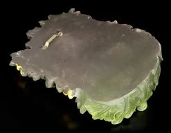 Waldgeist Wandrelief - Elderwood -Modell Und Figurengeschäft Waldgeist Wandrelief Elderwood 3 1280x1280