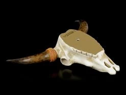 Wandrelief Büffel Schädel - Indianisches Muster -Modell Und Figurengeschäft Wandrelief Bueffel Schaedel Indianisches Muster 4 1280x1280