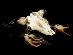 Wandrelief Stier Schädel - Indianer Look -Modell Und Figurengeschäft Wandrelief Stier Schaedel Im Indianer Look 4 1280x1280