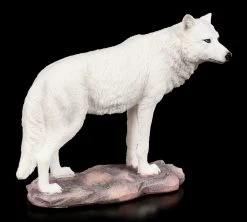 Wolf Figur - White Spirit 10 Wolf Figur - White Spirit -Modell Und Figurengeschäft White Spirit Wolf Figur 4 1280x1280